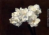 Victoria Dubourg Fantin-latour Canvas Paintings - Bouquet de Narcisses